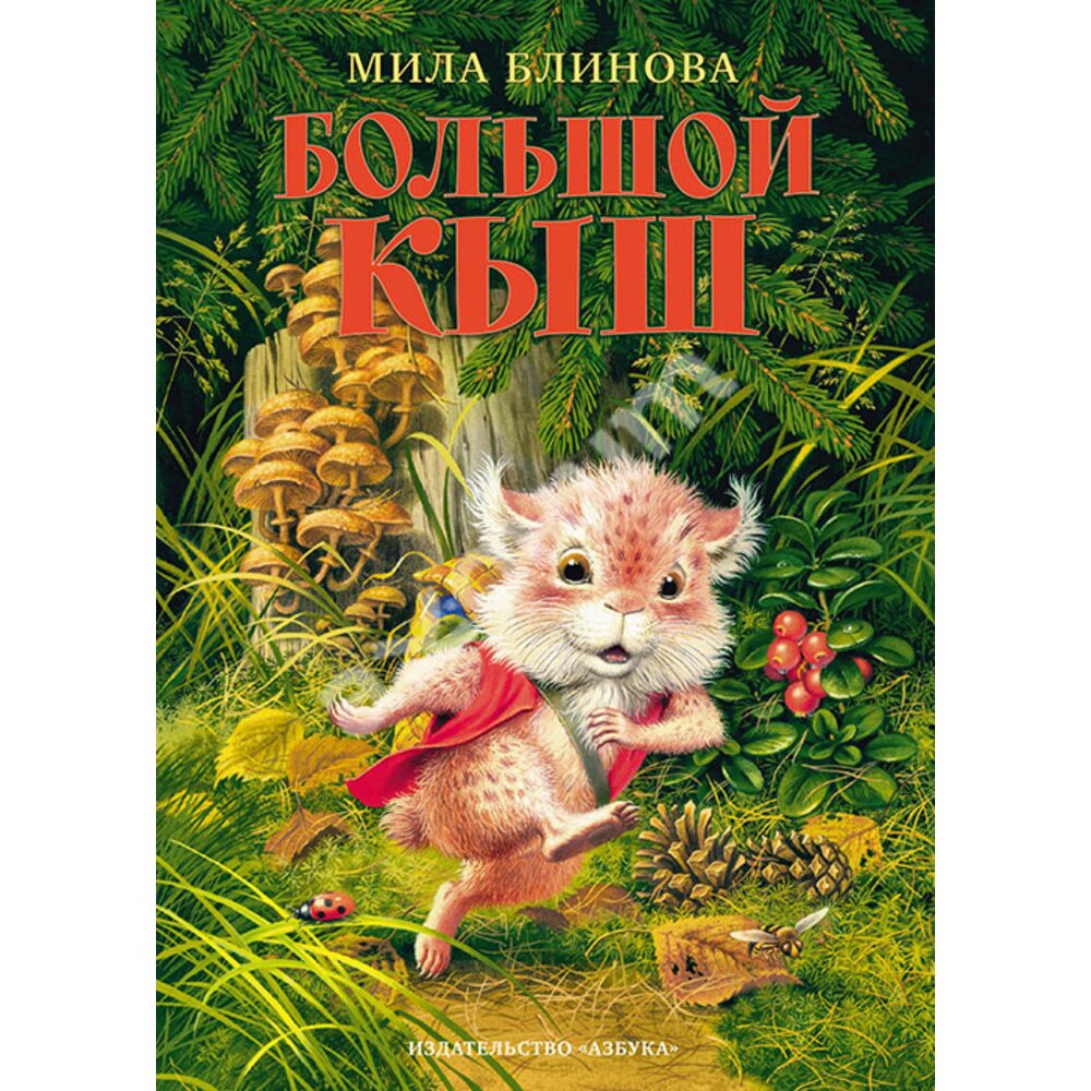 

Большой Кыш