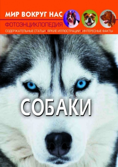 

Мир вокруг нас. Собаки