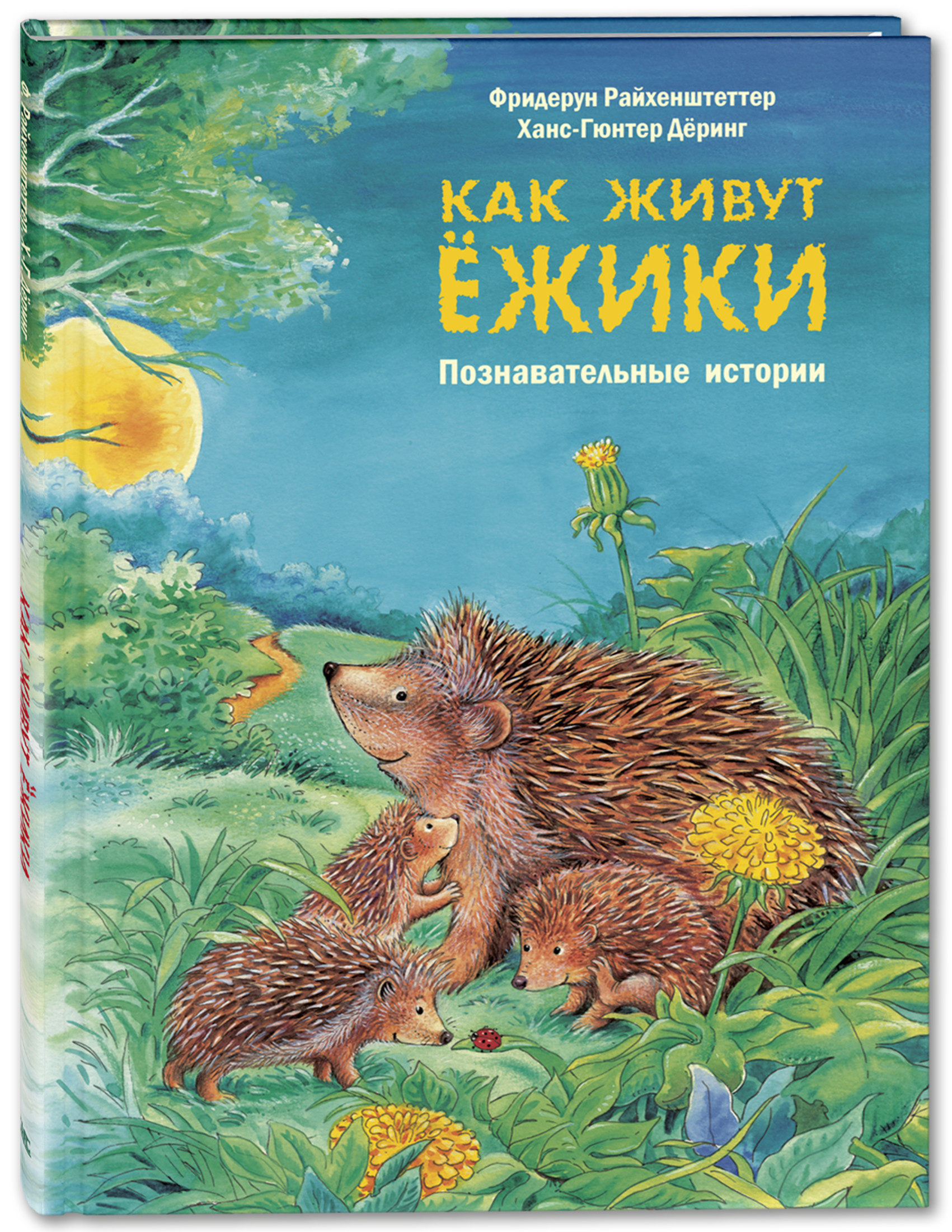 

Как живут ёжики. Познавательные истории