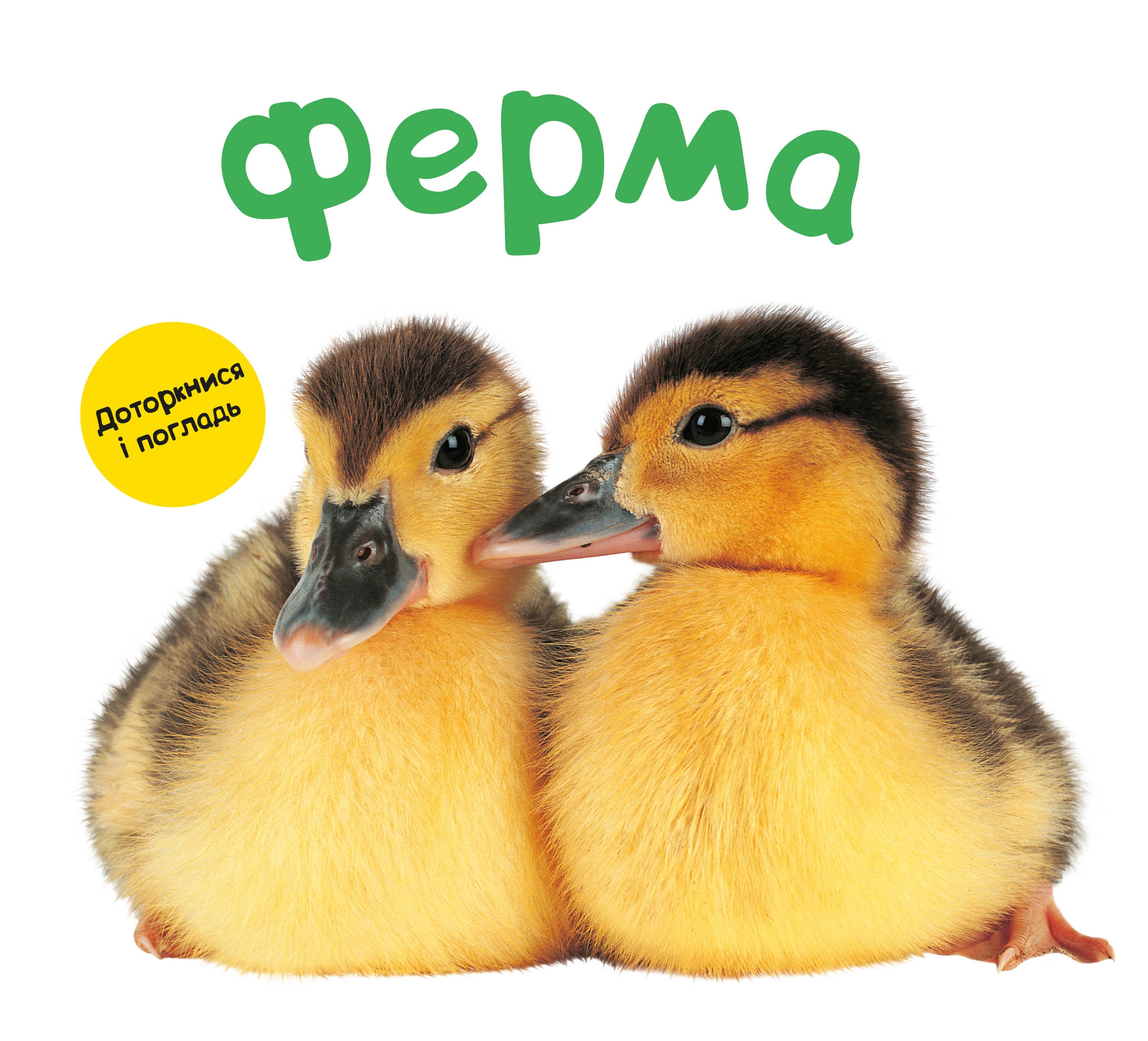 

Ферма