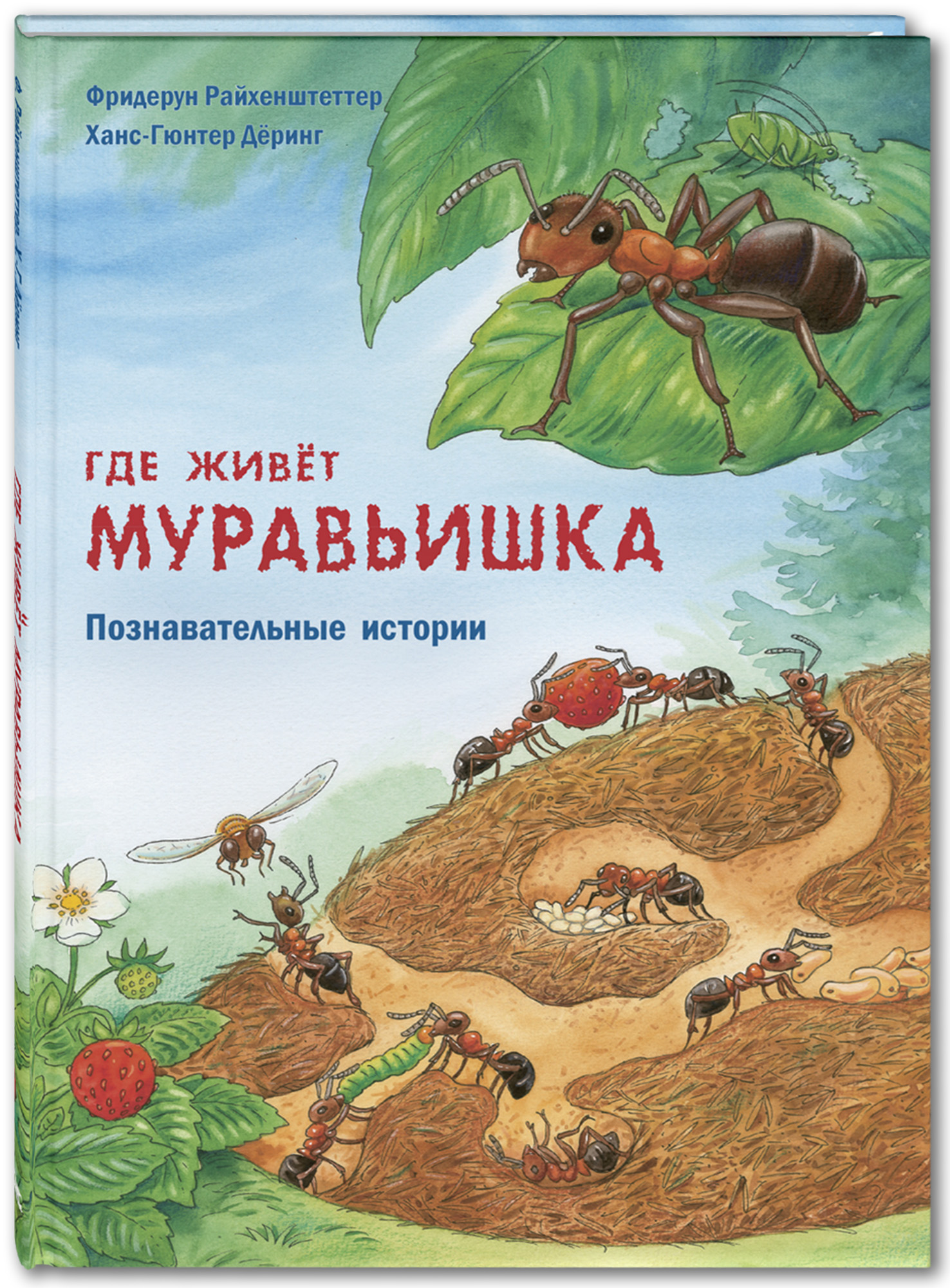 

Где живёт муравьишка. Познавательные истории