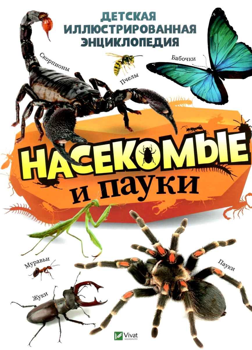 

Насекомые и пауки