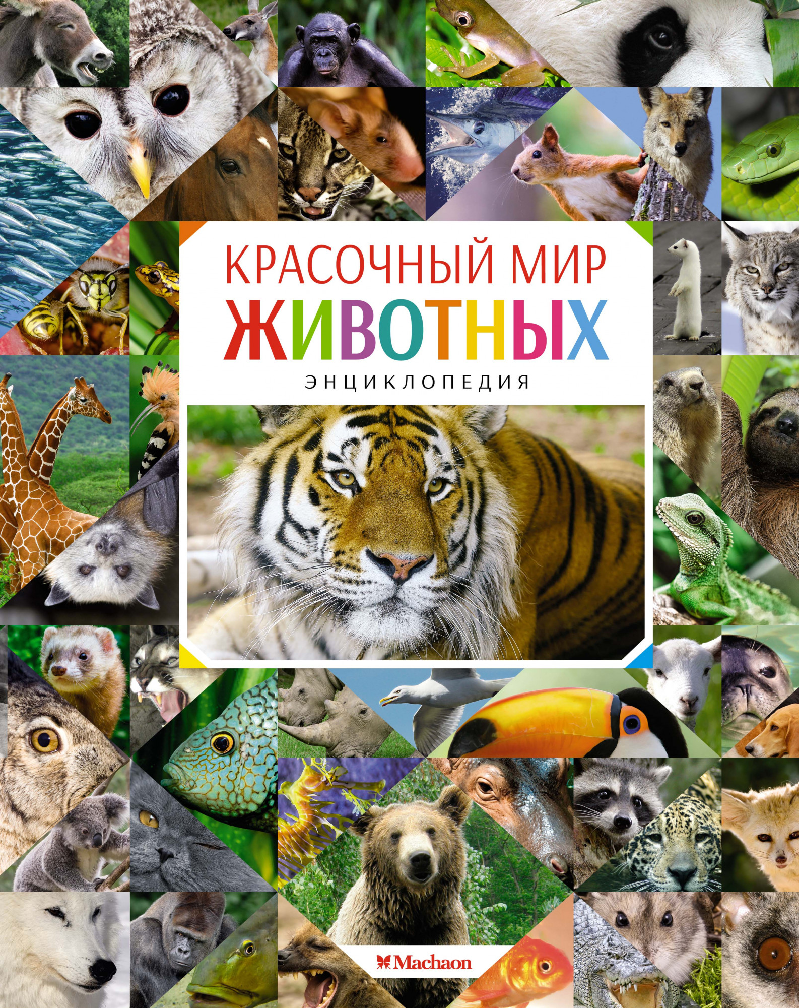 

Красочный мир животных