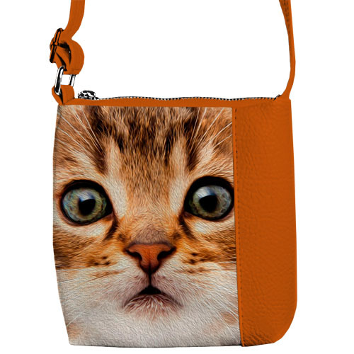 

Сумка детская Little prince/princess Presentville Рыжий кот 18x18 см