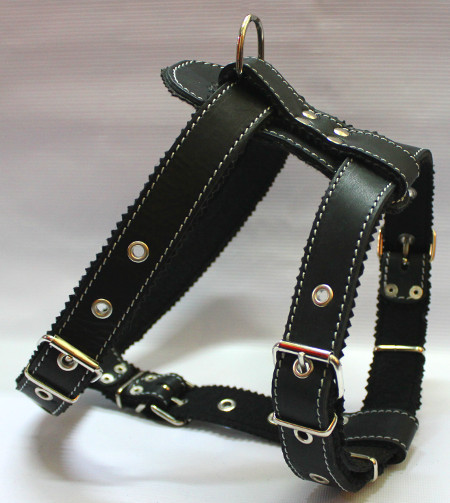 

Шлея для собак Bingo Боксер 2 48-72 Черная (5920510)