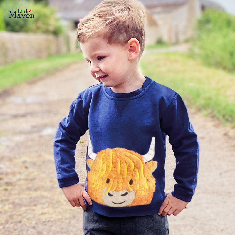 

Свитшот для мальчика утепленный Buffalo Little Maven (98 / 3 года) Синий