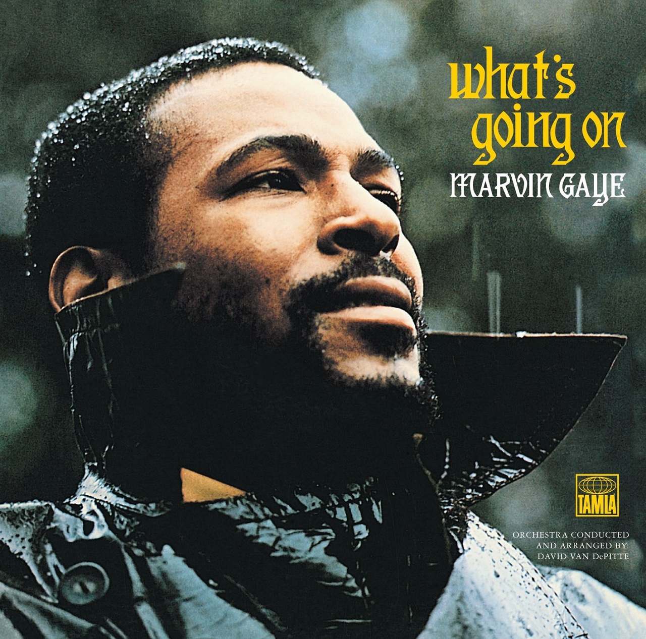 

Виниловая пластинка Marvin Gaye - What's Going On (1-LP,180g., Download Code)