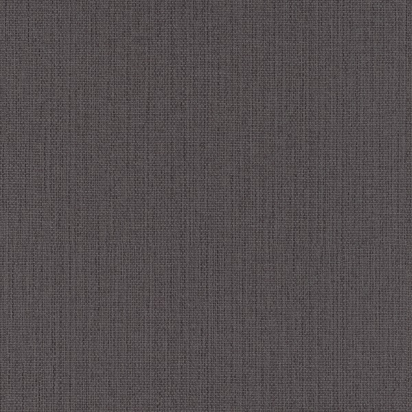 

Виниловые обои Rasch Германия черный 0.53 x 10.05 м арт. 1035406