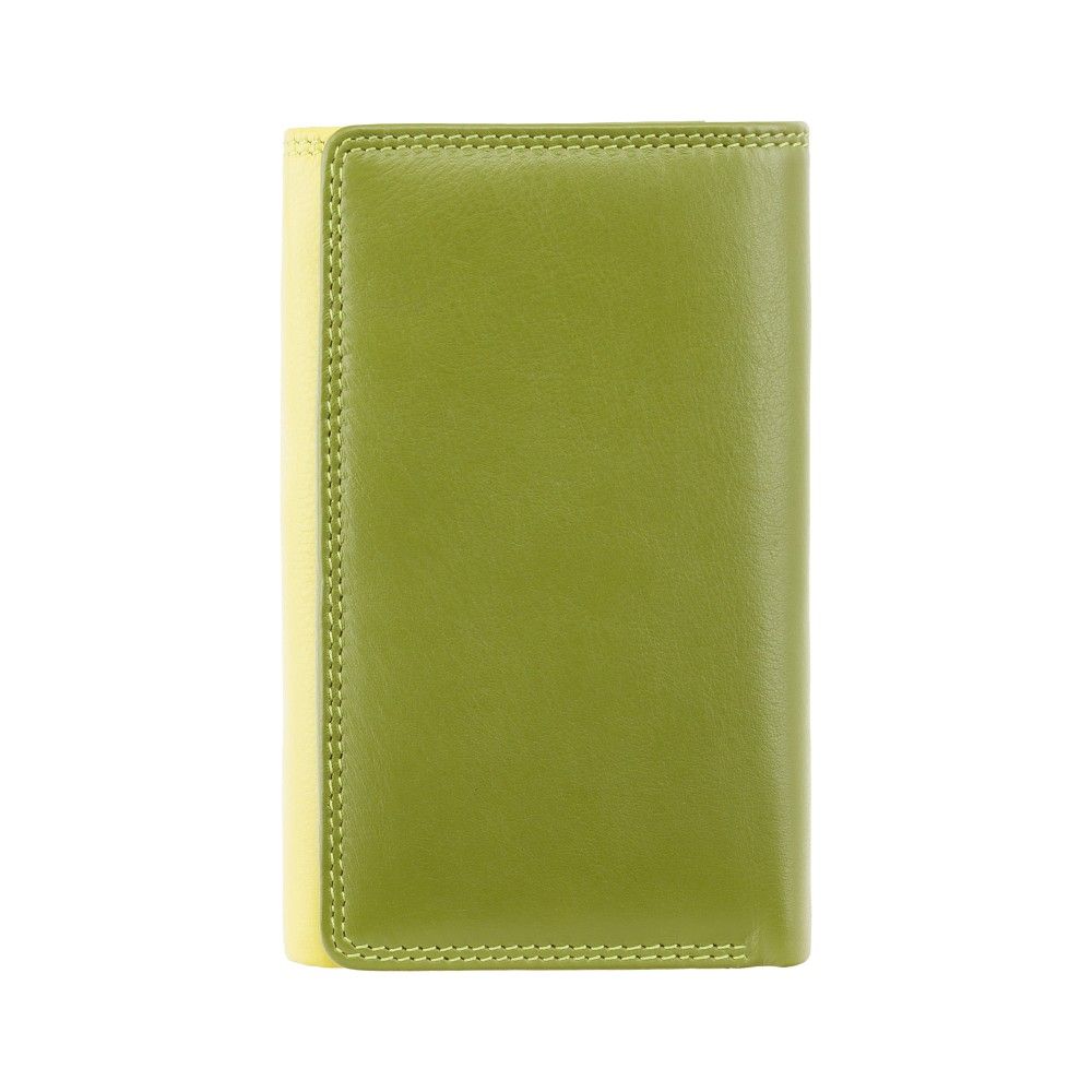 

Кошелек женский Visconti RB43 Bora c RFID Lime Multi (RB43 LIME M)