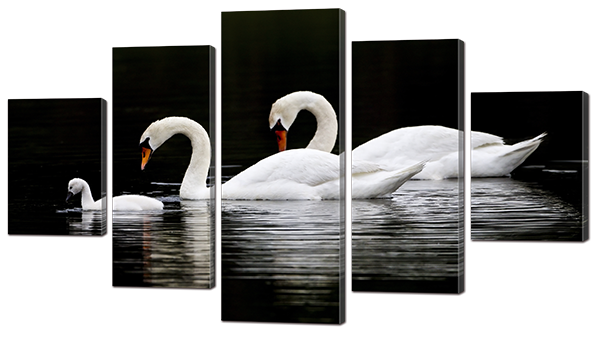 

Модульная картина Interno Искусственный холст Три лебедя 142х80см