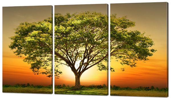 

Модульная картина Interno Эко кожа Древо на рассвете 104х58см (А696M)