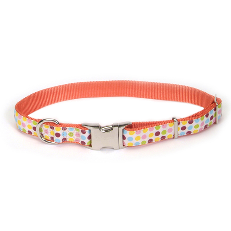 

Pet Attire Ribbon ошейник для собак 30 x 1.6 см точка Coastal BGL-ZB-CO-221