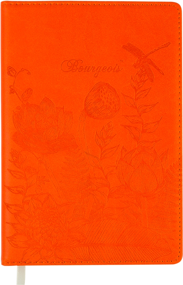 

Ежедневник недатированный Bourgeois А5 160 листов Оранжевый (6923749726502)