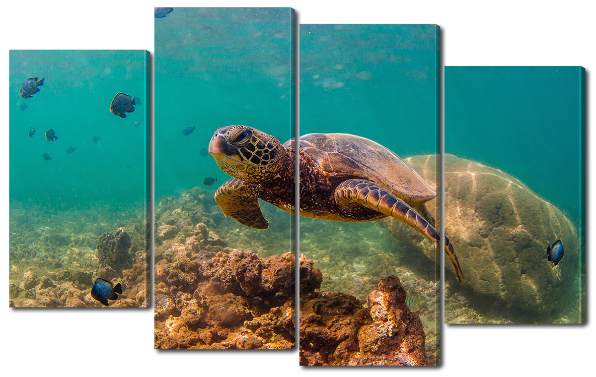 

Модульная картина Interno Холст Рыбки и черепаха 126x77см