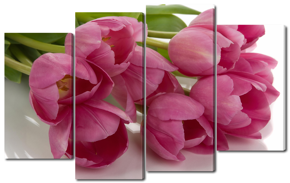 

Модульная картина Interno Холст Тюльпаны на белом фоне 114x69см