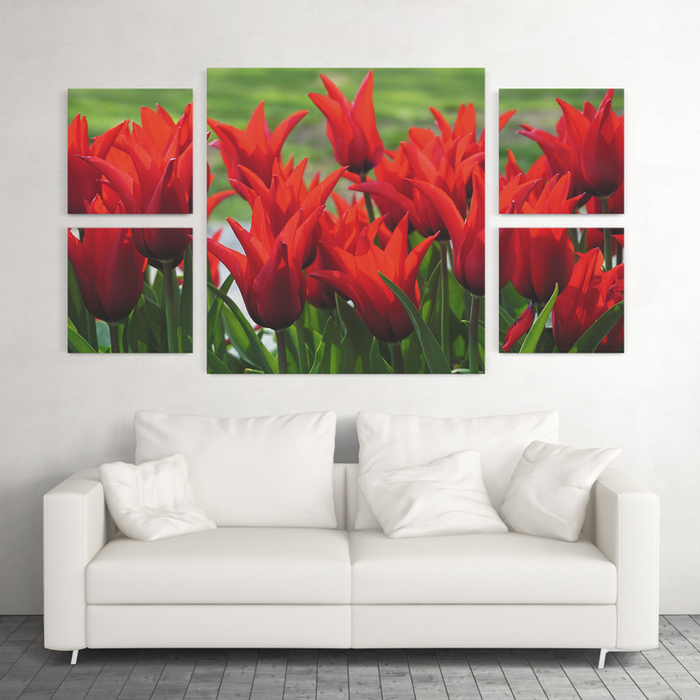 

Модульная картина GUS "Цветы, Тюльпаны #49" 200x110 см (XA054 - Модульные картины)