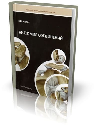 

Анатомия соединений - Козлов В.И. (978-5-98811-310-2)