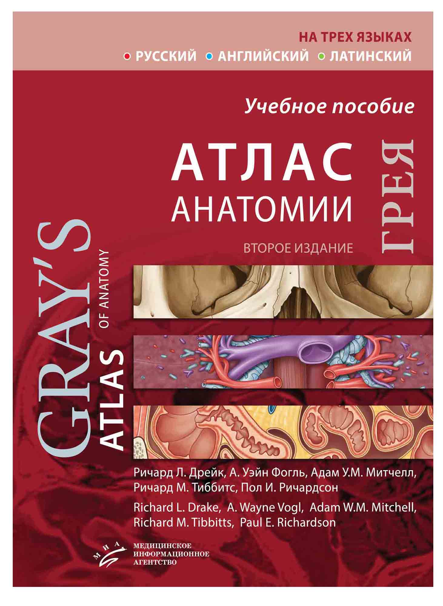 

Атлас анатомии Грея - Дрейк Р.Л. Фогль А.У. Митчелл А.У.М. (978-5-9986-0401-0)