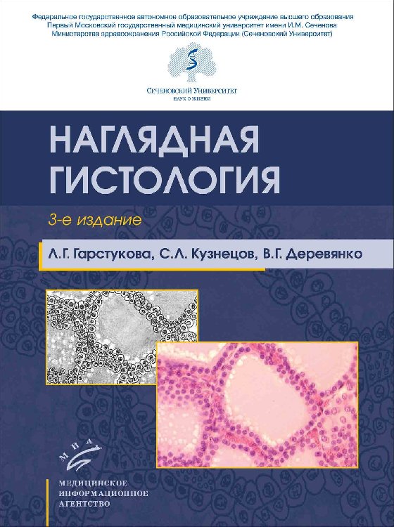 

Наглядная гистология - Гарстукова Л.Г., Кузнецов С.Л., Деревянко В.Г. (978-5-9986-0424-9)