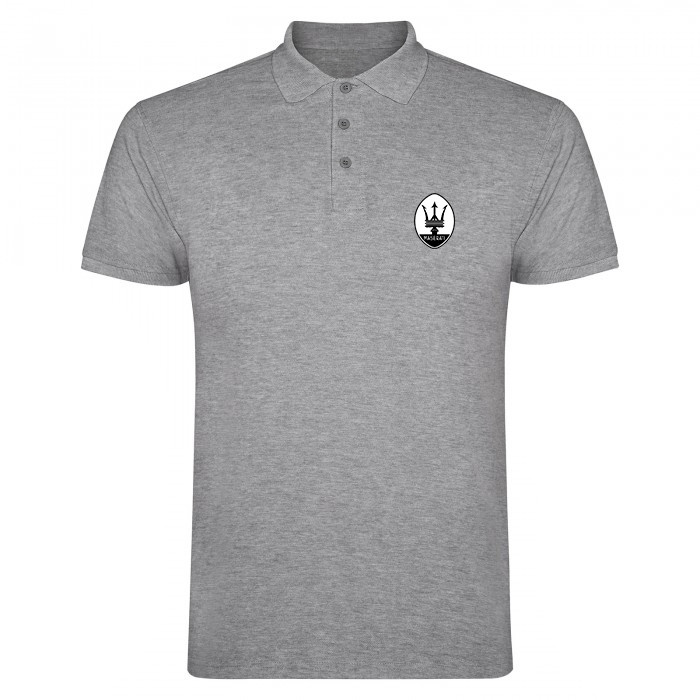 

Поло мужское Без бренда  Серый (2-8856, Поло мужское Без бренда S Серый (2-8856)