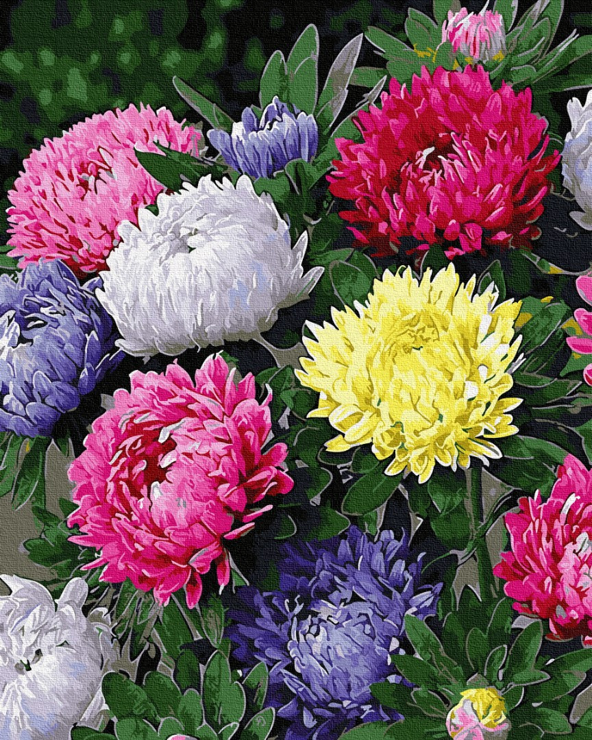

Картина по номерам BrushMe GX31230 40*50 cм Разноцветные астры