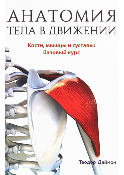 

Анатомия тела в движении 94757