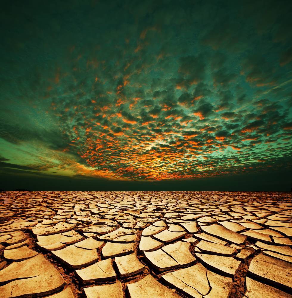 

Картина на холсте LaPrint Пустыня 60х60 см