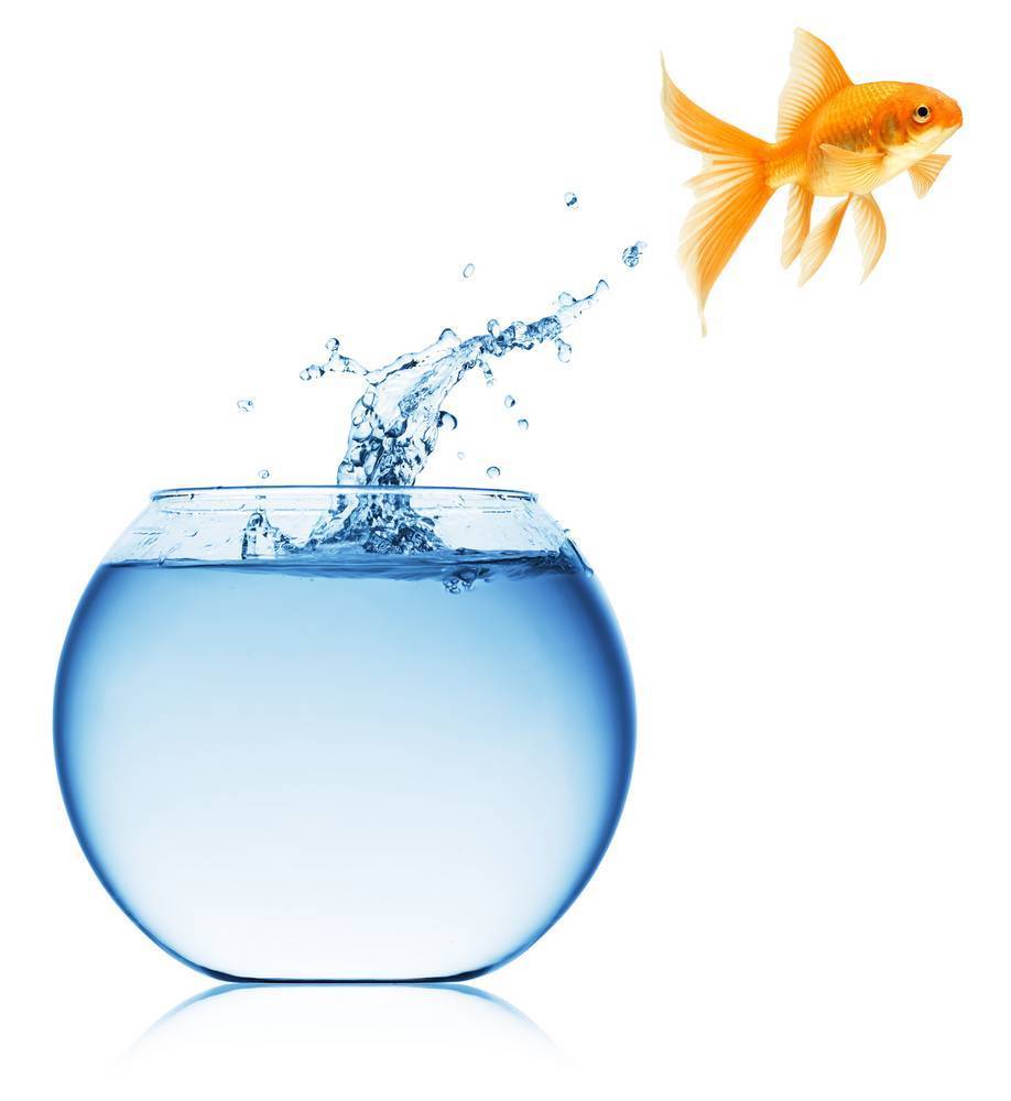 

Картина на холсте LaPrint Рыбки 90х90 см