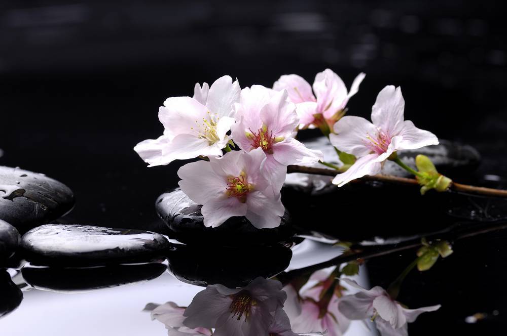 

Картина на холсте LaPrint SPA 90х60 см