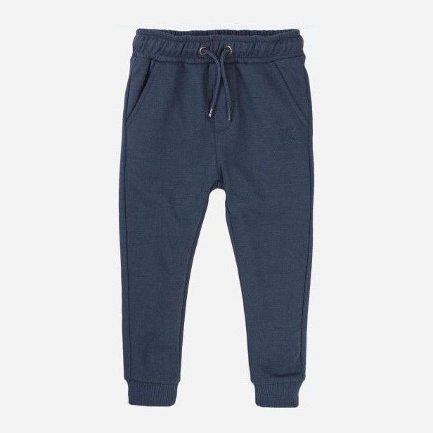

Спортивные штаны Minoti 5FJOG 2 16748 128-134 см Темно-синие (5059030495268)