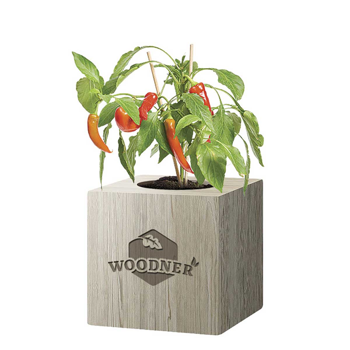 

Набор для выращивания Woodner «Перчик» (26656)