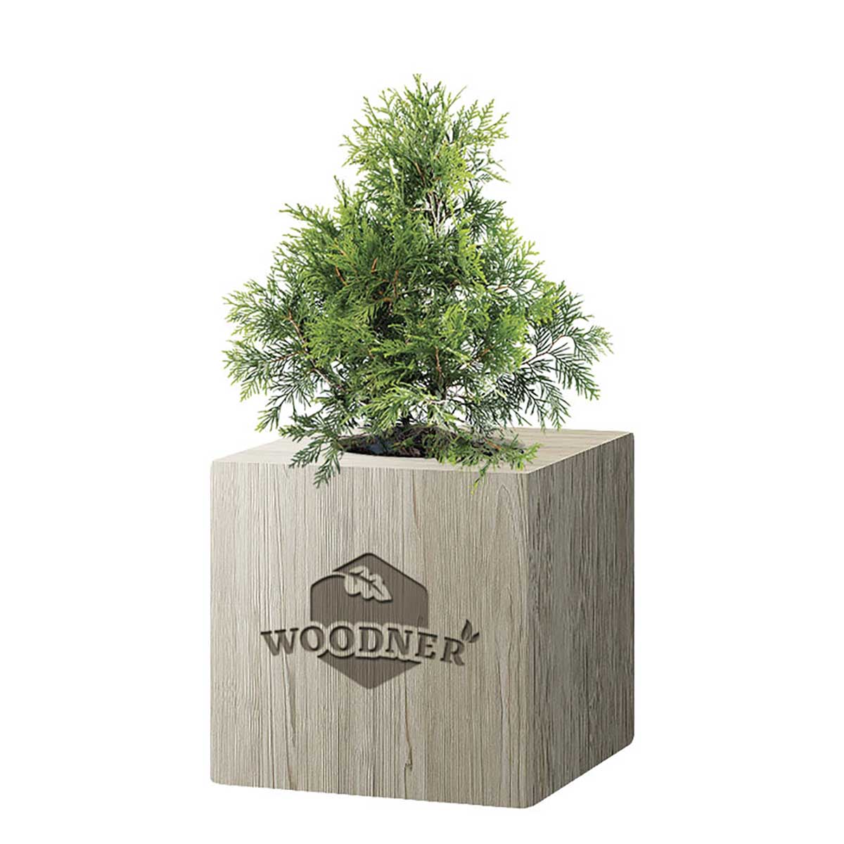 

Набор для выращивания Woodner «Принцесса Туя» (26658)