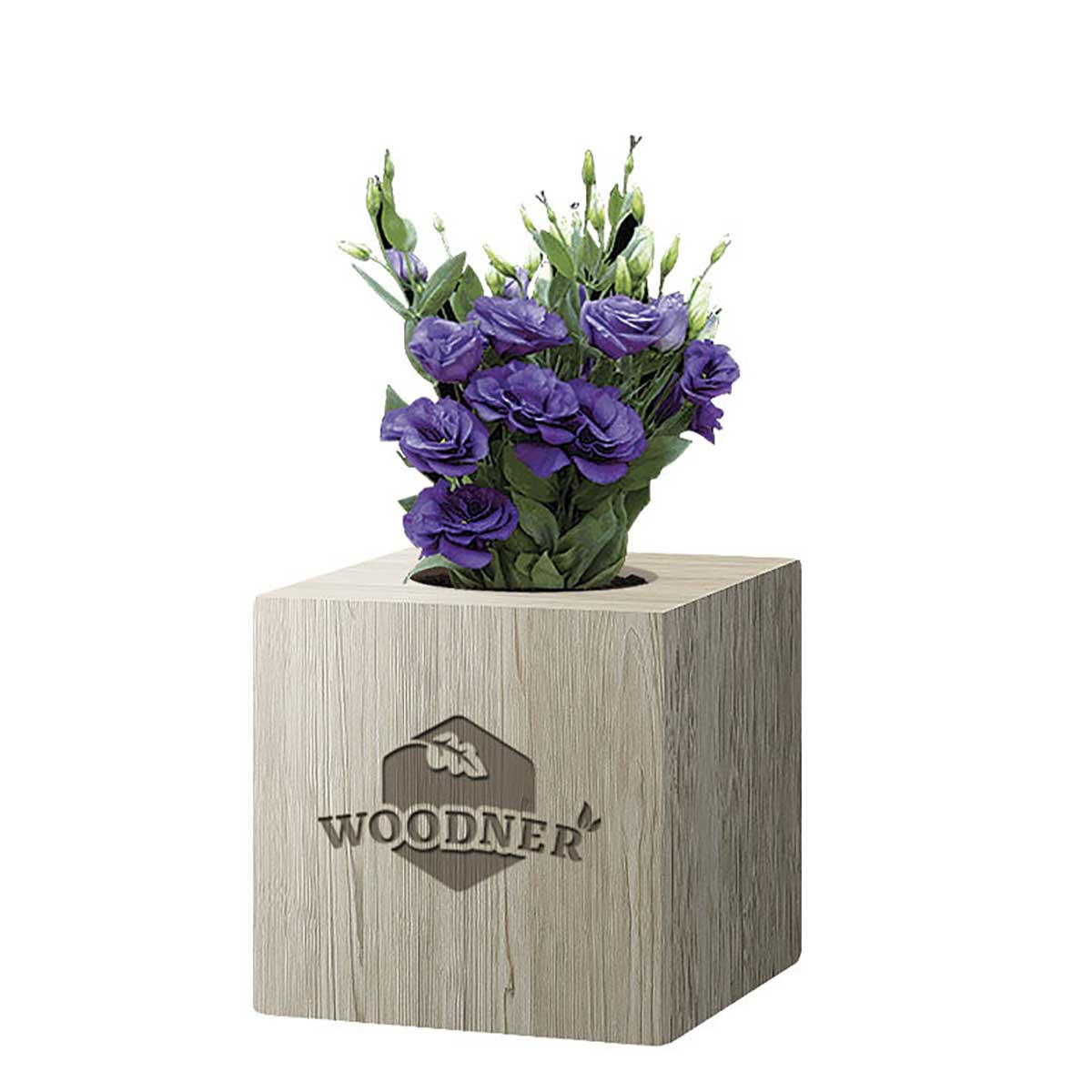 

Набор для выращивания Woodner «Леди Эустома» (26665)