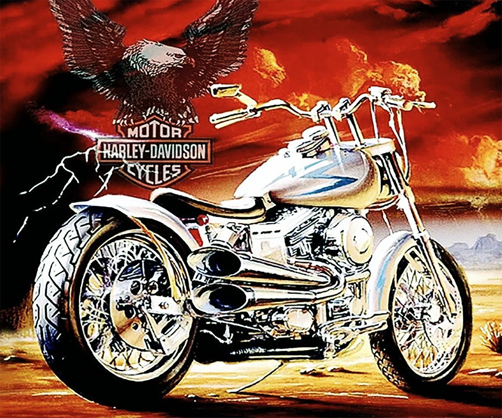 

Набор алмазной вышивки "Harley-Davidson"