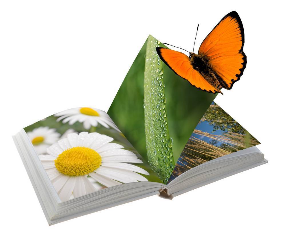 

Картина на холсте LaPrint Книги 60х60 см