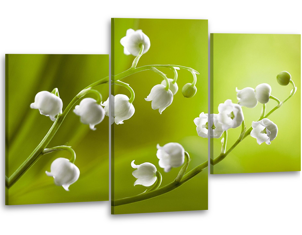 

Модульная картина на холсте YS-Art 96х70см