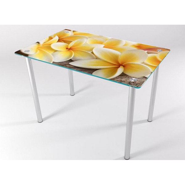 

Стол стеклянный "Jam" Тропики KT-01 120х80 см (усиленные ножки)