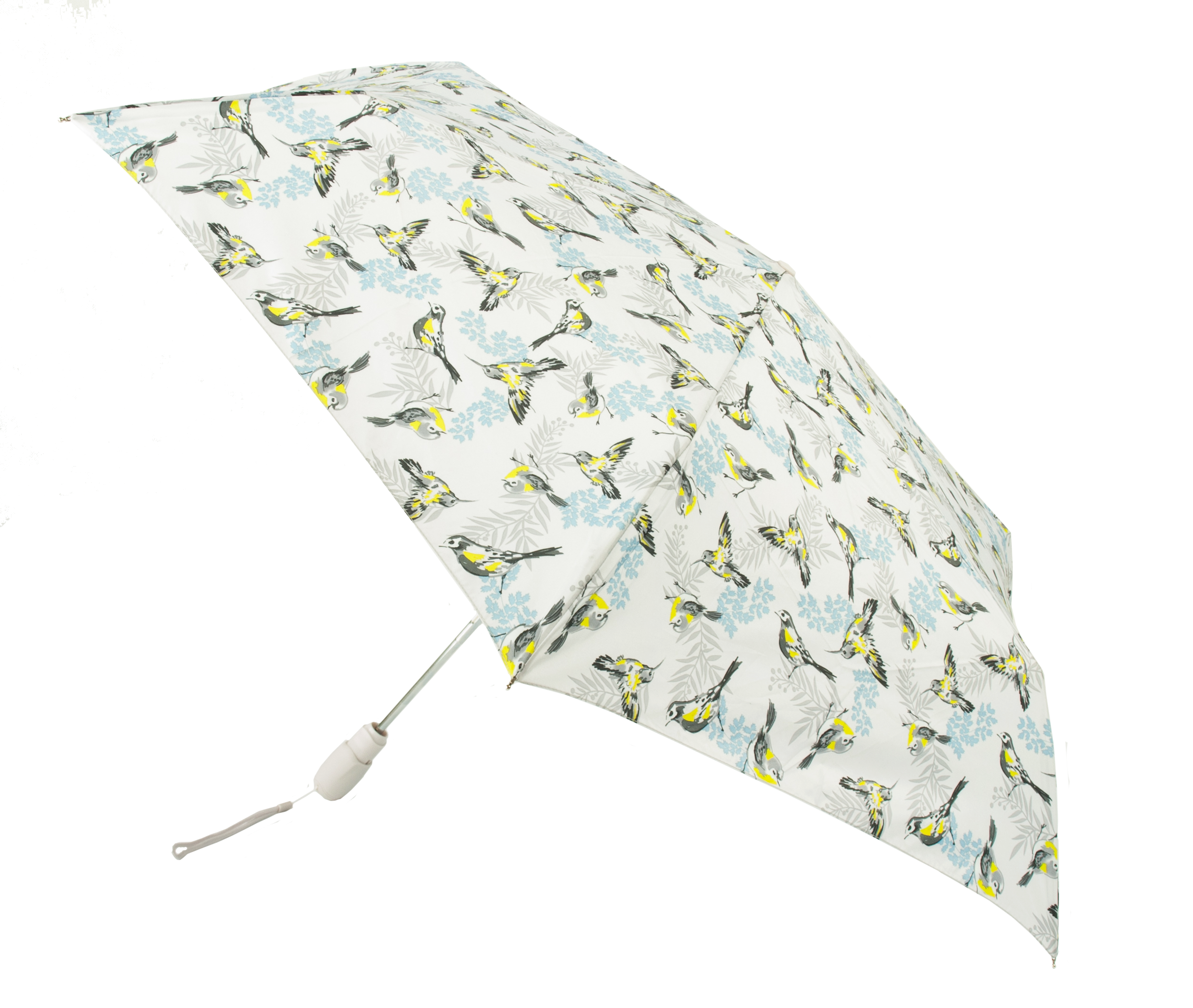 

Женский зонт Fulton Open&Close Superslim-2 L711 Neon Robin (Fulton_Open&Close_Superslim-2_L711_Neon_Robin)