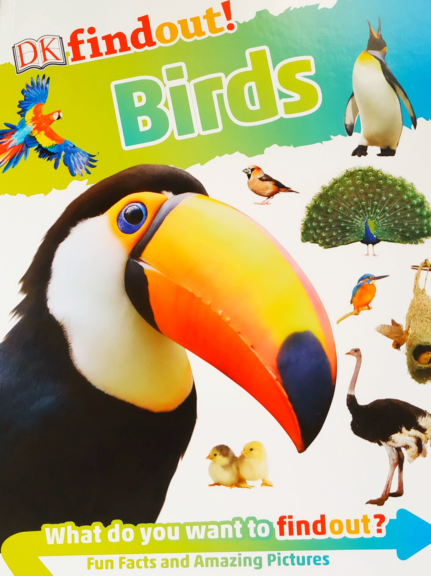 

Детская энциклопедия на английском Птицы DK findout! Birds