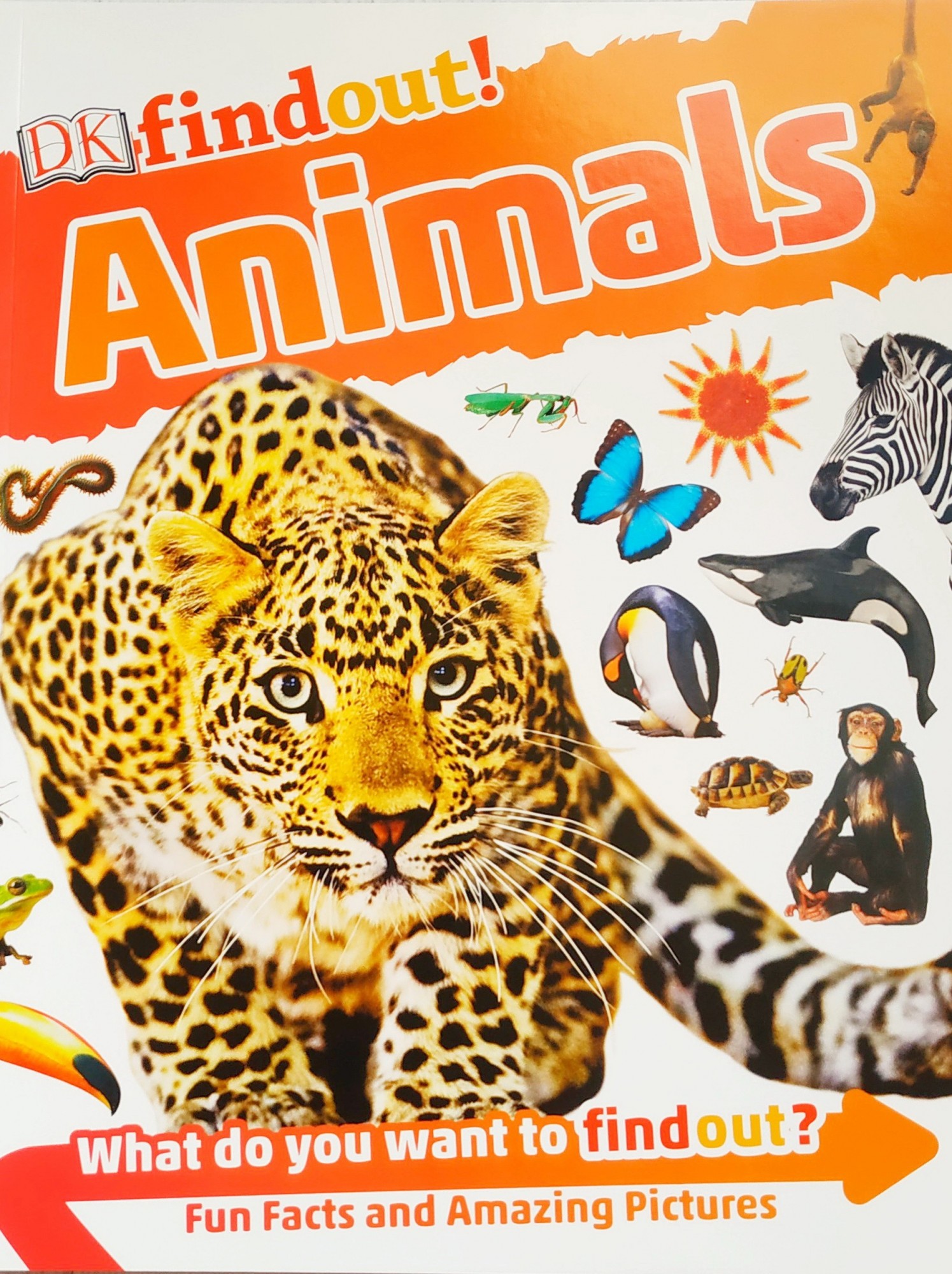 

Детская энциклопедия на английском Животные DK findout! Animals