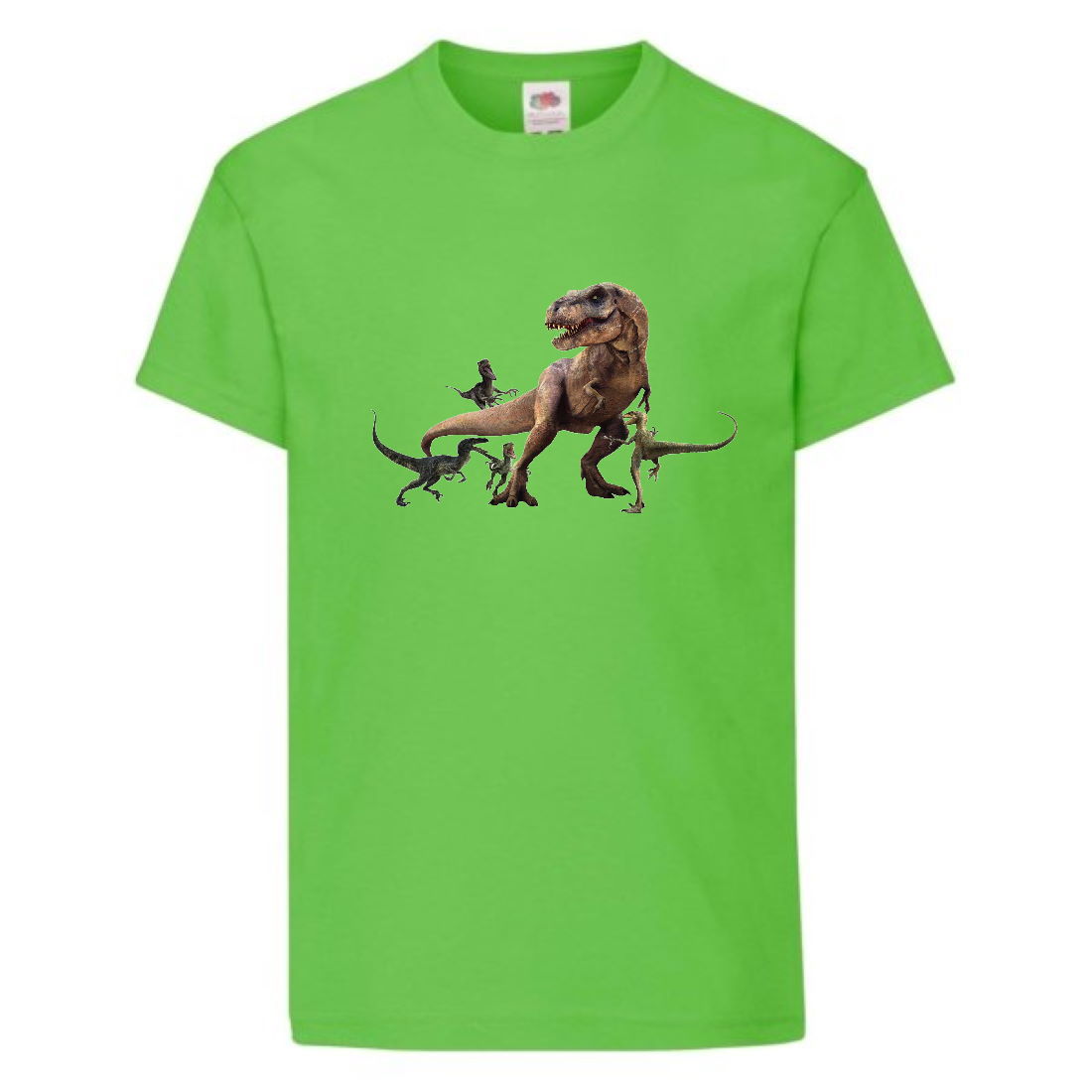 

Футболка детская Парк Юрского Периода 001 (Jurassic Park) светлозеленая (JPK lgrn 001) 116 см