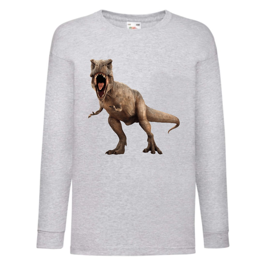 

Лонгслив реглан Парк Юрского Периода 0014 (Jurassic Park) серый (JPK gry 0014) 116 см