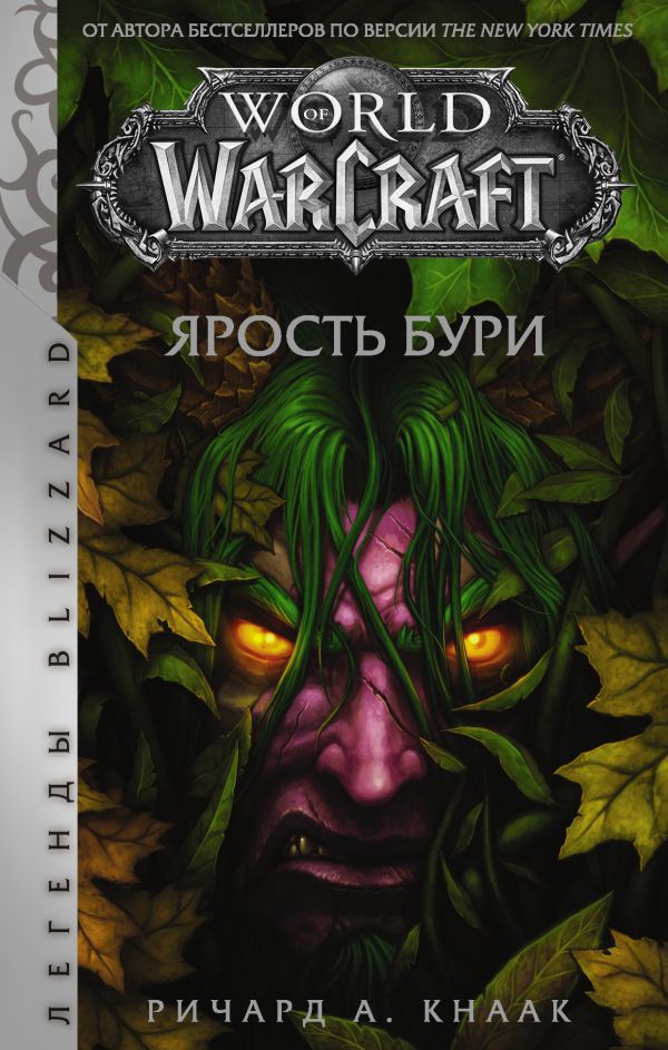 

World of Warcraft: Ярость Бури