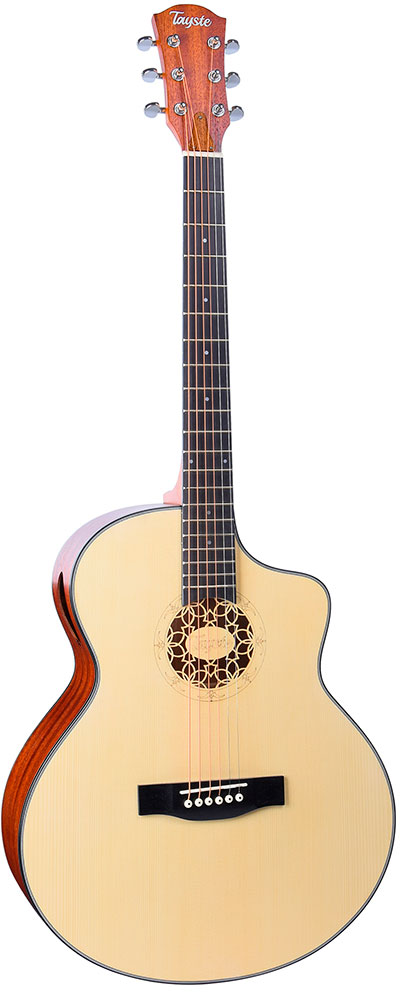 

Акустическая гитара Tayste TS-D12