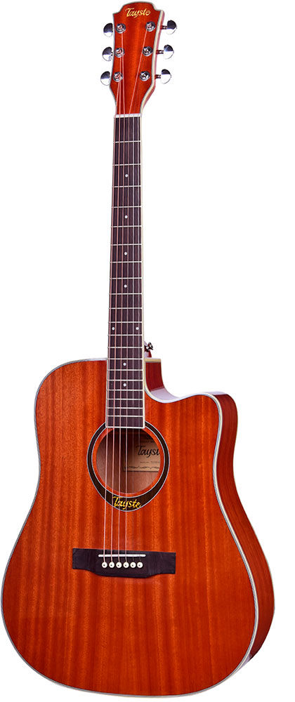

Акустическая гитара Tayste TS330-D