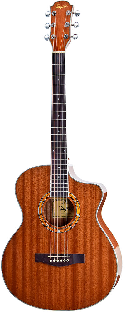 

Акустическая гитара Tayste TS430 N