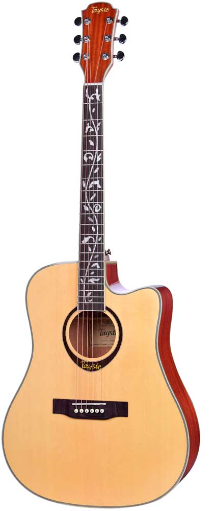 

Акустическая гитара Tayste TS325-D