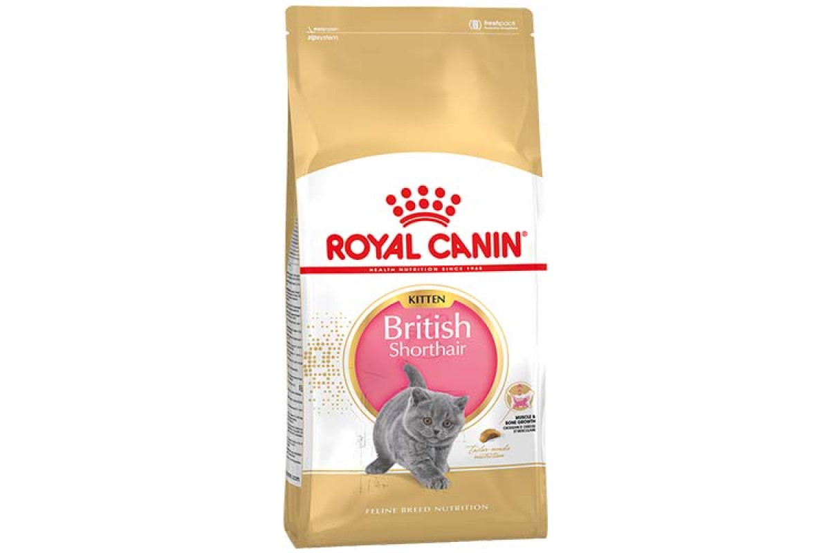 

Сухой корм Royal Canin British Shorthair Kitten 10 кг