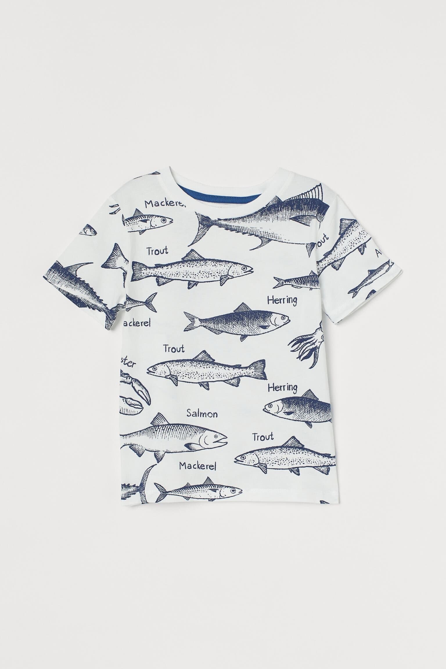

Футболка H&M для мальчика 2-4 года 98-104 см Белый (HM-00013)