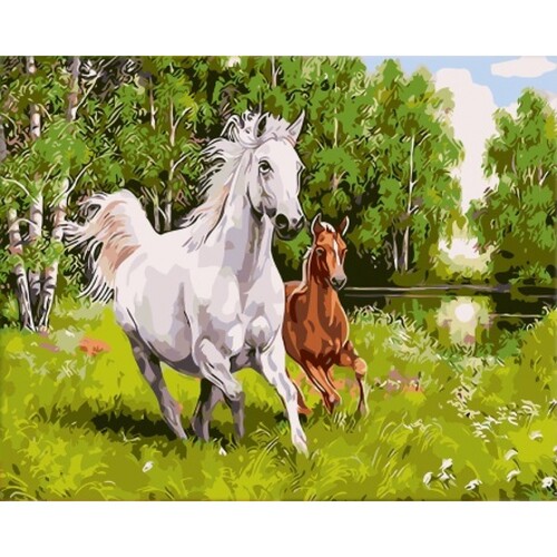 

Картина по номерам Dreamtoys Аллюр 40 x 50 см Dreamtoys BGL-DTS-361